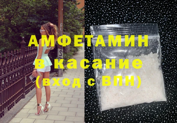 стаф Алзамай