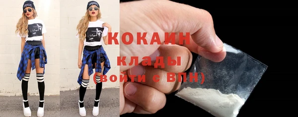 стаф Алзамай
