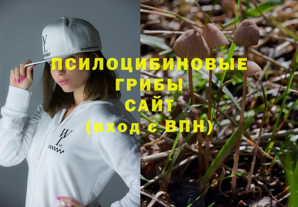стаф Алзамай
