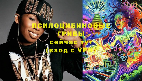 стаф Алзамай