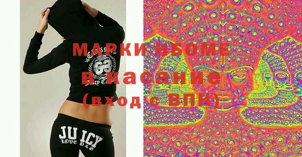стаф Алзамай