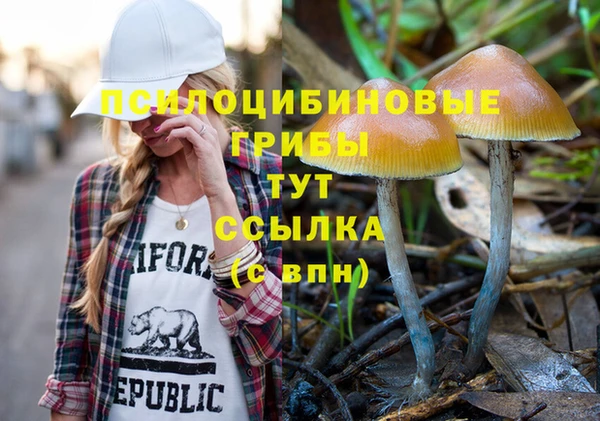 мескалин Алексин