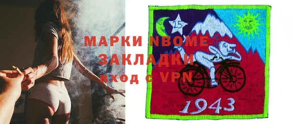 стаф Алзамай
