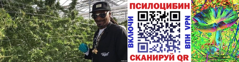Галлюциногенные грибы Magic Shrooms купить цена ОМГ ОМГ маркетплейс Камбарка